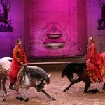 Spectacle Equestre au Musée du Cheval à Chantilly