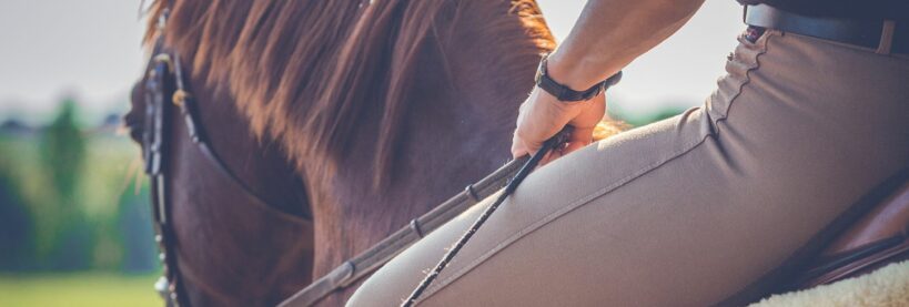 Séjour Equestre : Découvrez la Capitale du Cheval à Cheval